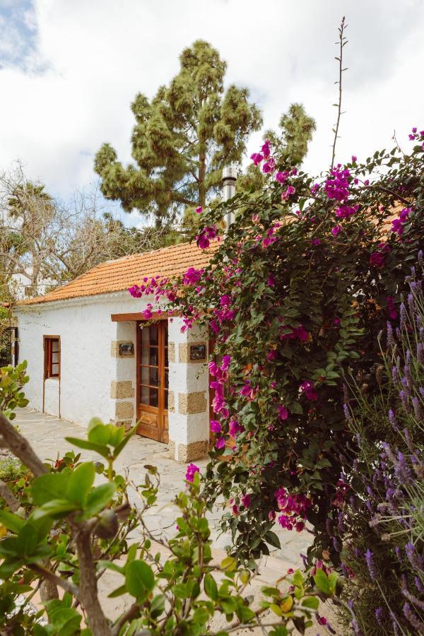 Ecoverode Hotel Emblematico Vegetariano Vegano Arona  Bagian luar foto